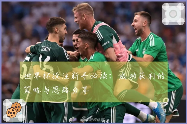 世界杯投注新手必读：成功获利的策略与思路分享