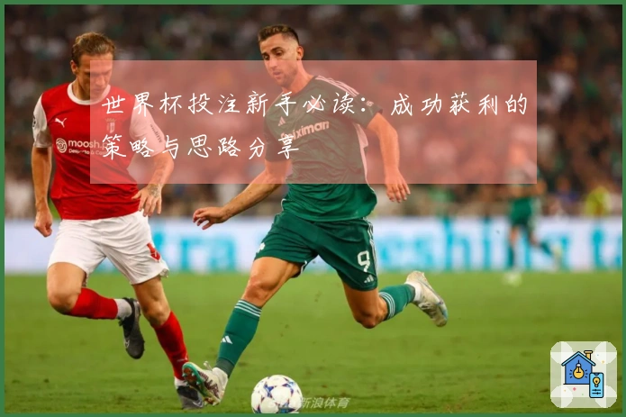 世界杯投注新手必读：成功获利的策略与思路分享